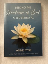 Seeking the Goodness of God after Betrayal by Anne Pyne picture