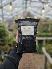 Muck Bonsai Mucko Kusamono Japanese Clay Rock Slab Planting Substrate picture