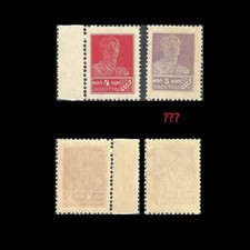 Russia. Worker. Litho. 1924, Scott 261+?, MNH (BI#NM1) picture