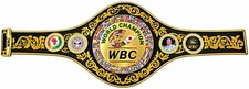 WBC Belt Boxing Championship Replica Belt Adult Size Hight Quality Leather 4MM picture