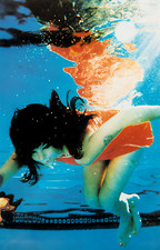 11x17 Bjork Graphic Poster Soaking Photography 2 picture