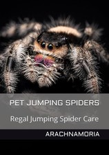 Pet Jumping Spiders: Regal Jumping Spider Care by Arachnamoria Sian Black picture