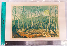 Vintage Anne Kendall Foote Original Serigraph Print 