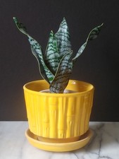Vtg MCCOY Yellow Bamboo Planter #0373 flower pot picture