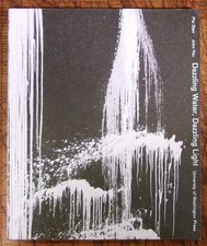 Pat Steir, John Yau / Dazzling Water Dazzling Light 1st Edition 2000 picture