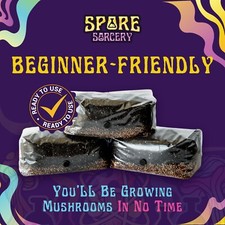 6 Pack All-in-One Mushroom Grow Kit in a Bag | MAX YIELD | 6lbs | 36 lbs total picture