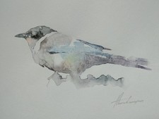 Magpie, Birds, Watercolor artwork, Handmade, Original painting on paper picture