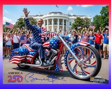 *RARE* Authentic Jaye Metcalfe, 2, Obama 250 Anniversary Poster 