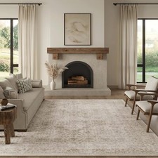 8x10 Washable Area Rug Vintage Distressed Floral Carpet Non Slip Soft Low Pile picture