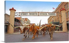 Fort Worth Longhorn Steers Texas Bulls Stock Yards Canvas Art  Poster picture