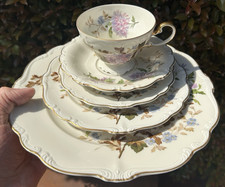 germany DAPHNE 5-PC PLATES CUP ROSENTHAL IVORY chrysanthemum flowers POMPADOUR picture
