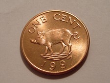 1997 Bermuda coin one cent  PIG   Uncirculated Beauty sweet classic coin picture