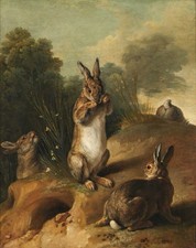 1700s Antique “Rabbits” Painting Reproduction Giclee Print Fine Art Paper picture