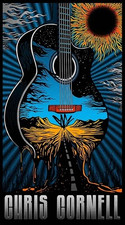 Chris Cornell Psychedelic Guitar Rock Music Art Poster picture