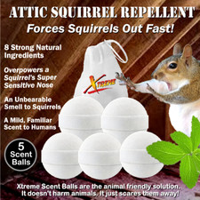 NEW Attic Squirrel Repellent.  DRIVES SQUIRRELS OUT FAST 5 PK picture