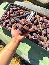 11 LB Organic Medjool Date | Fresh 2026 Harvest | California Grown 🌴🌴 picture