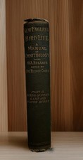 Antique 1883 New England Bird Life A Manual of Ornithology Part II Birds of PREY picture