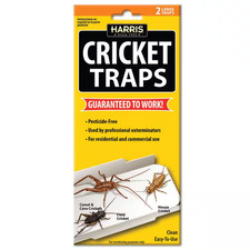 Cricket Traps (2 Pack) picture