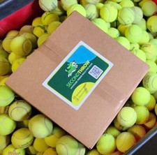 100 Used Tennis Balls - LOW COST DOG BALLS -   picture