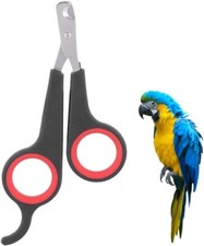 Bird Parrot Nail Clippers Scissors Small Animal Cat Grooming Trimmer Black & Red picture
