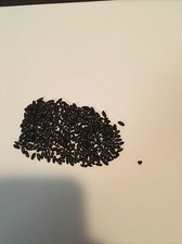 FAKE MOUSE POOP , GREAT PRANK Minimum 600 FAKE DROPPINGS picture