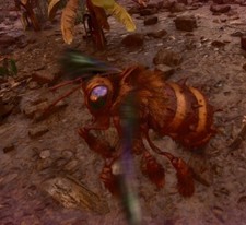 ASA Giant Queen Bee X3🐝 Survival Ascended picture
