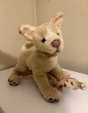 Douglas / Bass pro Pitbull custom | *READ DESC* |  picture