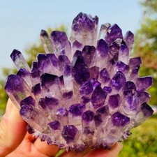 Decoration Rare Violet Ghost Phantom Amethyst Quartz Crystal Cluster Healing  picture