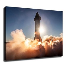 SpaceX Starship Launch Poster Canvas Wall Art Painting Print Painting Suitable picture