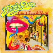 Steely Dan Cant Buy a Thrill Music Album Cover Poster Print 12 x 12 picture