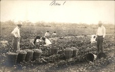Publ in Harlingen TX Farming Field Workers P. C. Shockey c1910 RPPC Postcard bhn picture