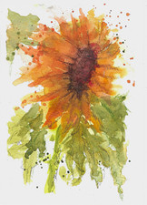 Abstract Watercolor Sunflower Flowers Painting, Floral Nature Artwork picture