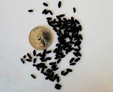 Mouse Poop Simulation 500 Pcs, Fake, Faux, Dorm, Prank, Joke, Droppings, Poo picture