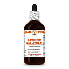 Lesser Galangal (Alpinia Officinarum) Tincture, Dried Rhizome Liquid Extract picture