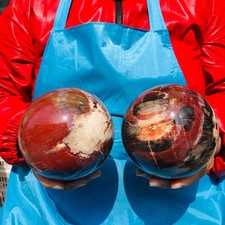 2pcs 6.82LB Natural wood fossil ball healing comes Healing  from Madagascar picture