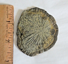 Beautiful  Pyrite Sun 56.9 grams   Natural Radiating Disk picture