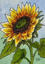 ACEO ORIGINAL WATERCOLOR -  Sunflower Garden Series – Morning Light - PHarp picture