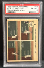 Ted Williams 1959 Fleer - 