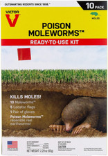 Victor Poison Moleworms Ready-to-Use Kit - Kills Moles, 10 Count, M6009 picture