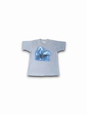 Vintage 1998 Stevie Nicks Enchanted Tour T-Shirt XL Light Blue Fruit of the Loom picture