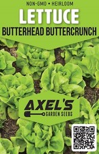 Buttercrunch Butterhead Lettuce Seeds, NON-GMO, picture