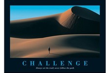 Challenge motivational poster 36 x 24 inches  picture