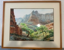 “Upper Forgotten Canyon” Watercolor by David Drummond 25x31 Framed Art picture