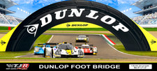 TJR 1/32 Scale Dunlop Bridge with full details - SCX Carrera Scalextric picture