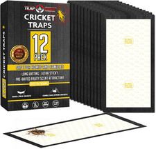 Trap a Pest Extra Large Cricket Traps - Fruity Scent - 12 Pack picture