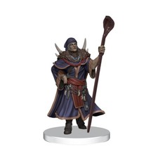 WizKids Wild Beyond the Witchlight Single Zargash (Unique) NM picture
