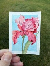 ACEO Original iris flower abstract botanical illustration floral by KC_ART_ME picture