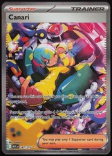 Canari Holofoil NM Special Illustration Rare [ASC - 291/217] picture