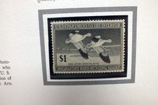 Vtg 1947 1948 Snow Goose Duck Stamp Migratory Bird Dept of Interior Jack Murray picture