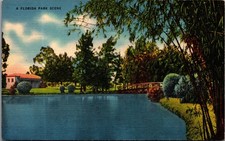 1938 A Florida Park Scene Postcard Linen Clearwater FL Posted Vintage picture